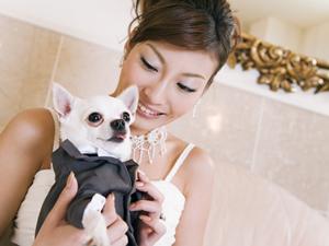 ベトナムの女性と国際結婚したい