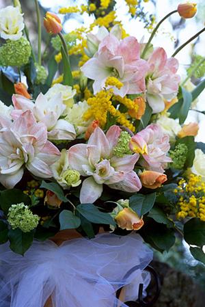 郡山モルティ店｜婚約指輪・結婚指輪・ダイヤモンド ブランド｜エクセルコ ダイヤモンドの魅力