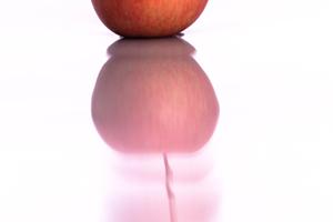 所沢市周辺の丁寧な成婚第一主義の仲人型結婚相談所